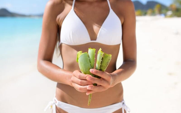 Aloe Vera After Sun: Wie Sie Ihre Haut natürlich schützen