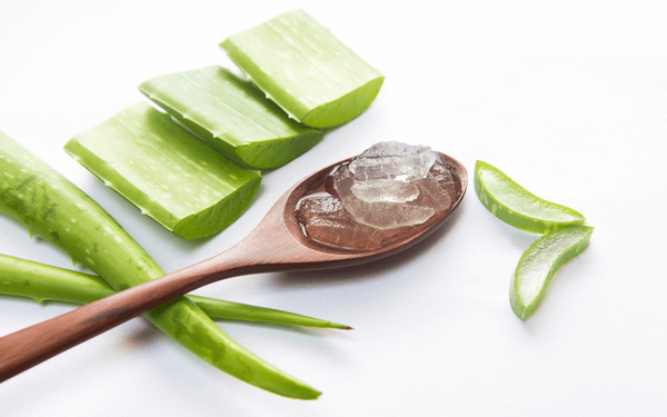5 tolle Gesundheitsvorteile der Aloe Vera