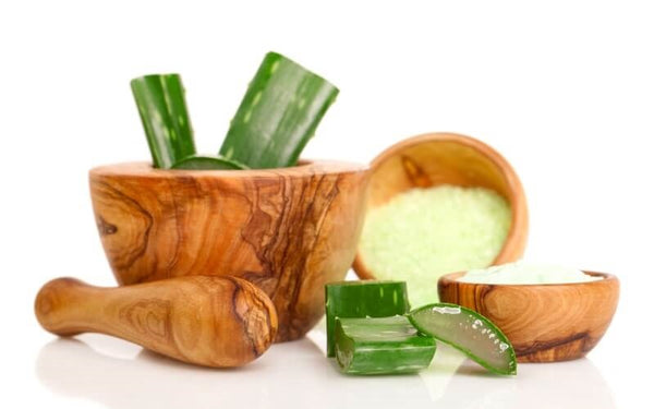 Gesundheitliche Vorteile der Aloe Vera