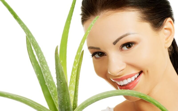Vorteile der Aloe Vera für die Hautpflege